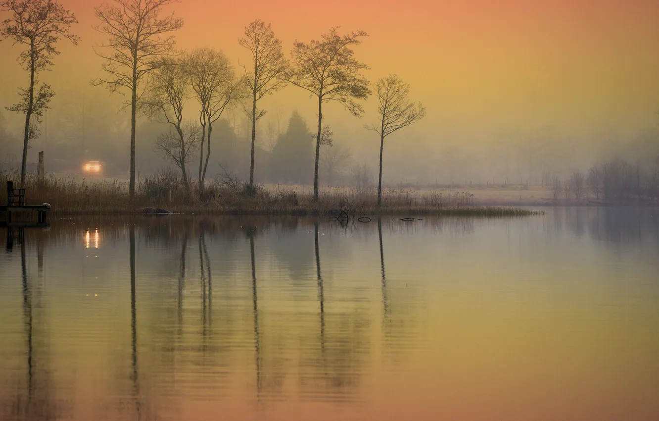 Фото обои туман, озеро, свет фар