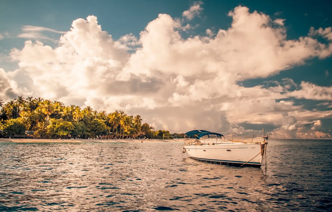 Фото обои пляж, небо, солнце, облака, парусник, залив, кокосовые деревья