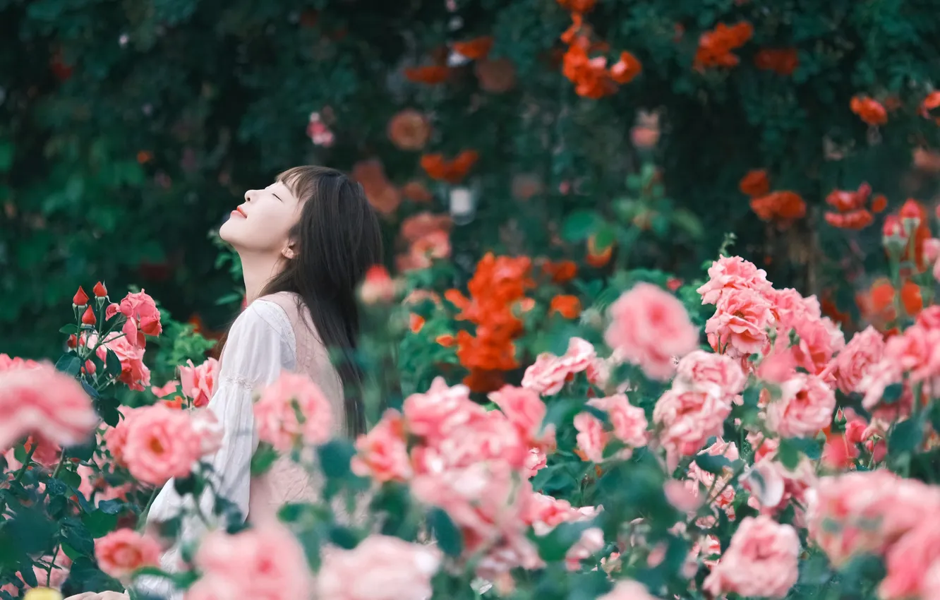 Фото обои Beautiful, Asian, Model, Flowers, Roses, Woman, Cute, Pretty