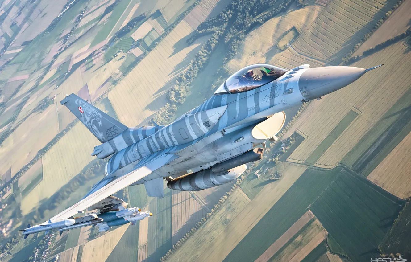 Фото обои Поле, Лес, F-16, Пилот, F-16 Fighting Falcon, Кокпит, ВВС Польши, Авиабомба