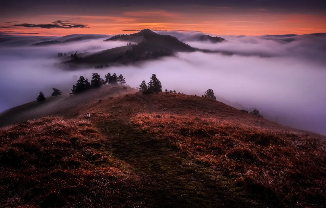 Фото обои облака, пейзаж, горы, природа, туман, утро