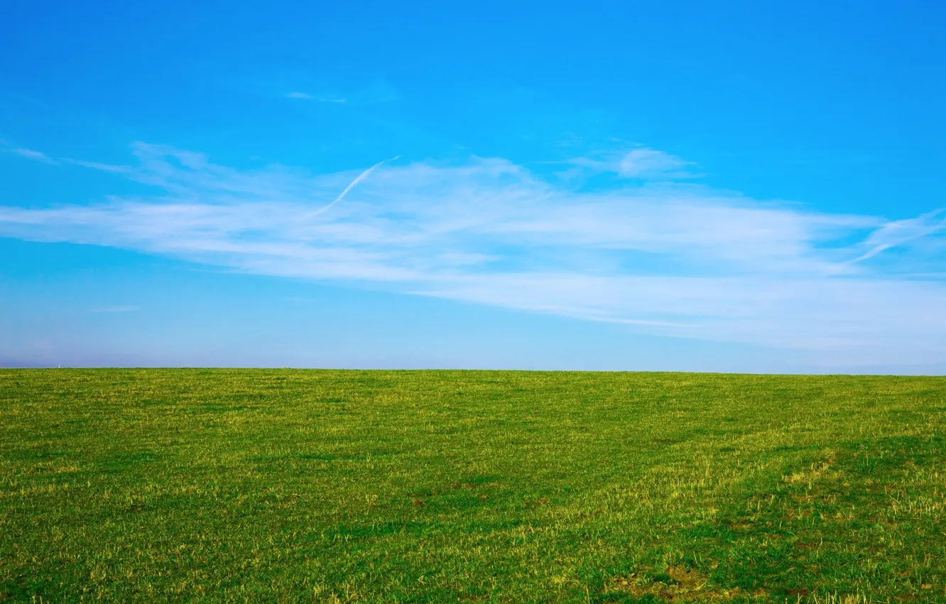 Фото обои поле, небо, трава, облака, пейзаж, природа, горизонт, grass