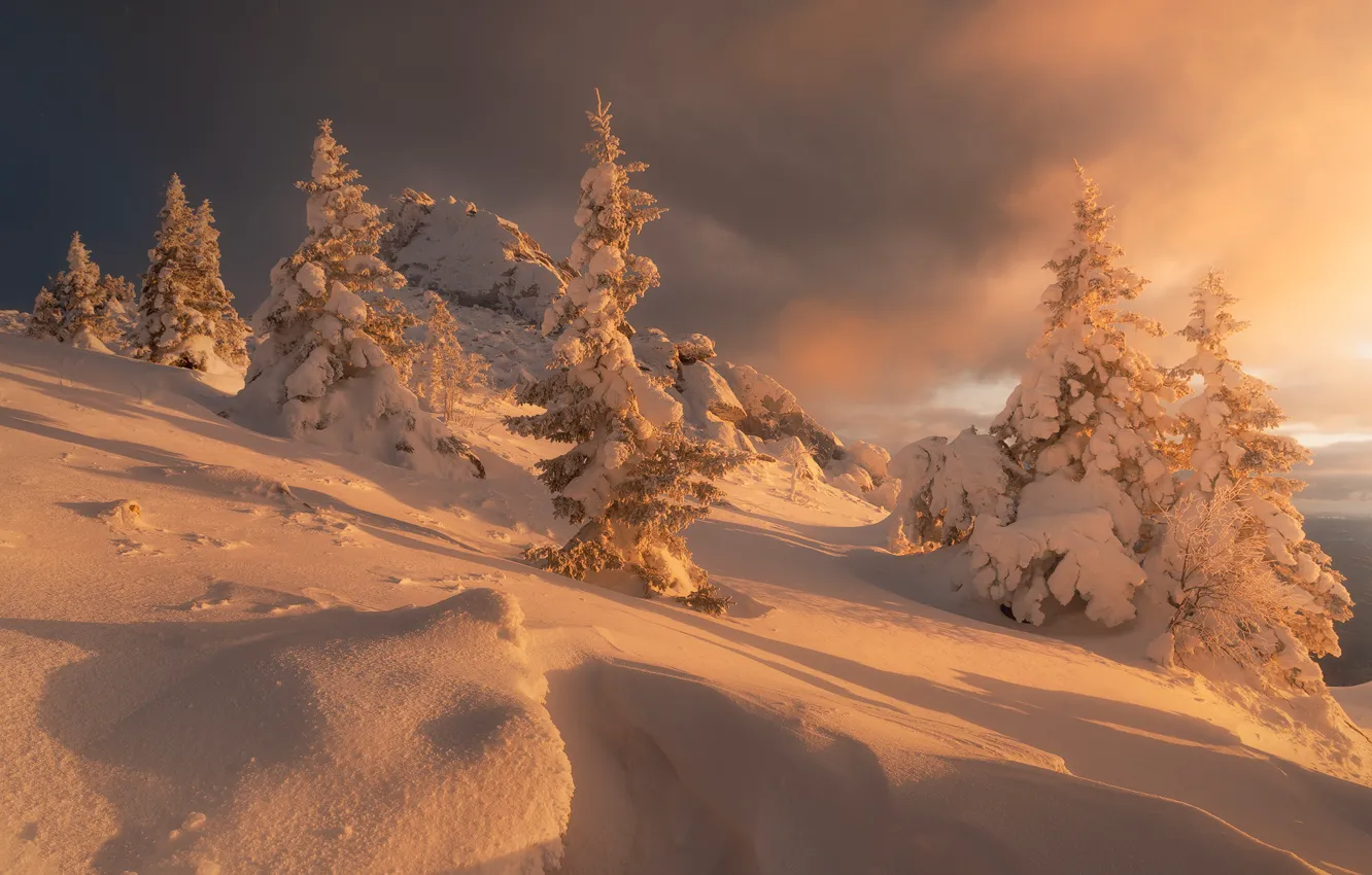 Фото обои зима, снег, деревья, пейзаж, природа, ели, склон, национальный парк