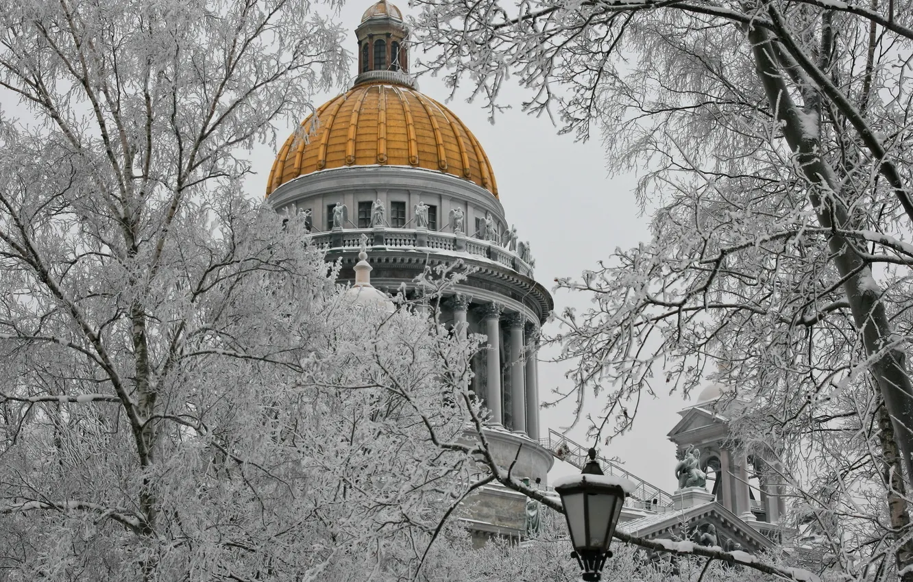 Фото обои зима, иней, деревья, город, архитектура, исаакиевский собор