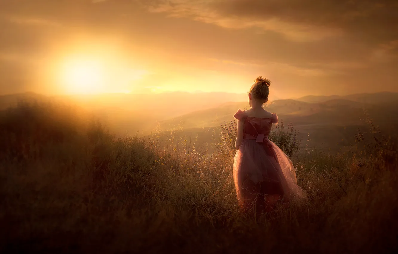 Фото обои девушка, природа, туман, прогулка