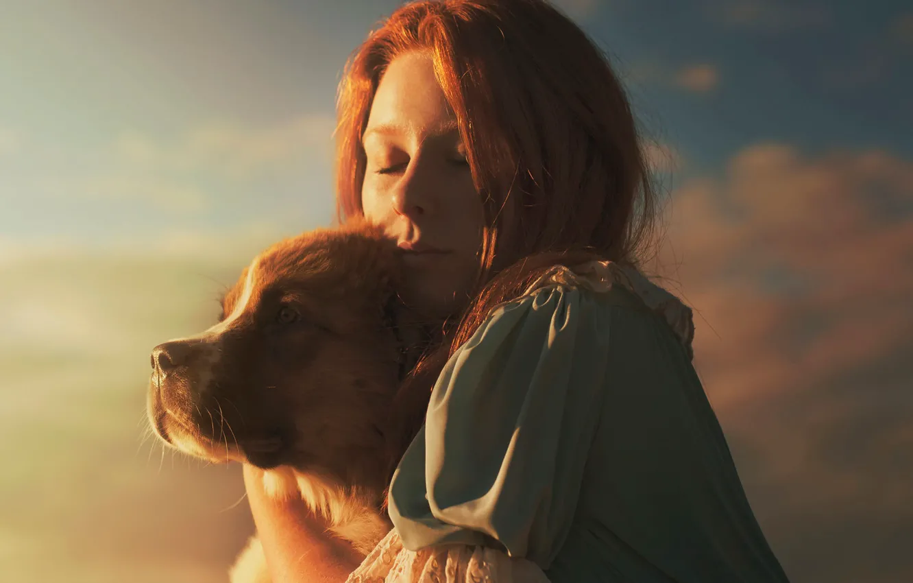 Фото обои девушка, собака, солнечный свет
