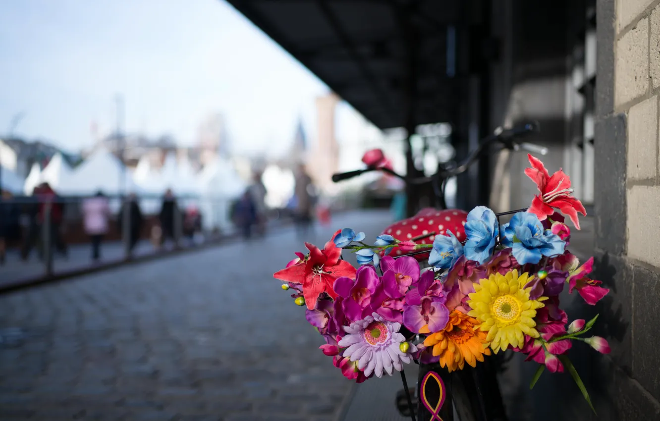 Фото обои цветы, велосипед, город, улица