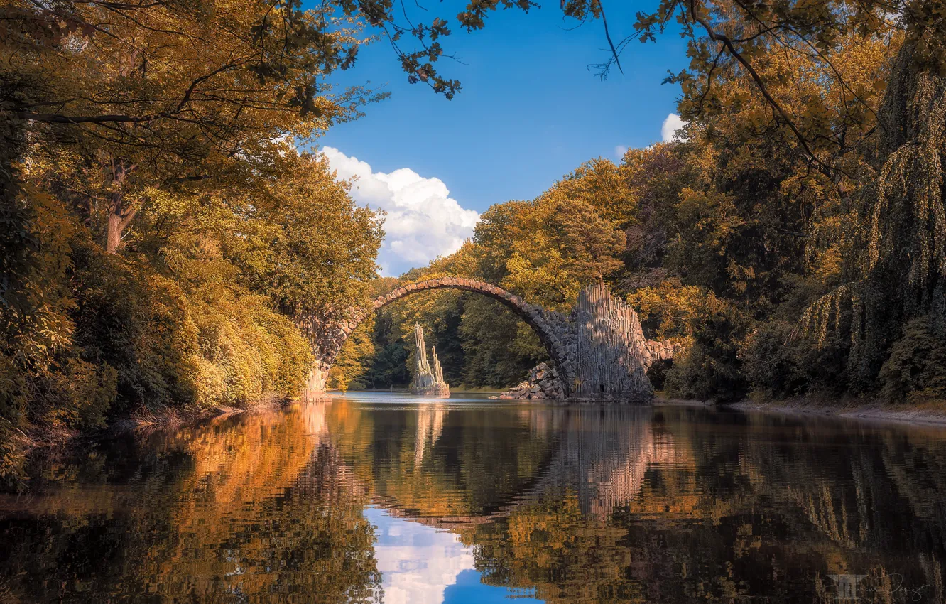 Фото обои осень, лес, мост, озеро, отражение, Германия, Germany, Саксония
