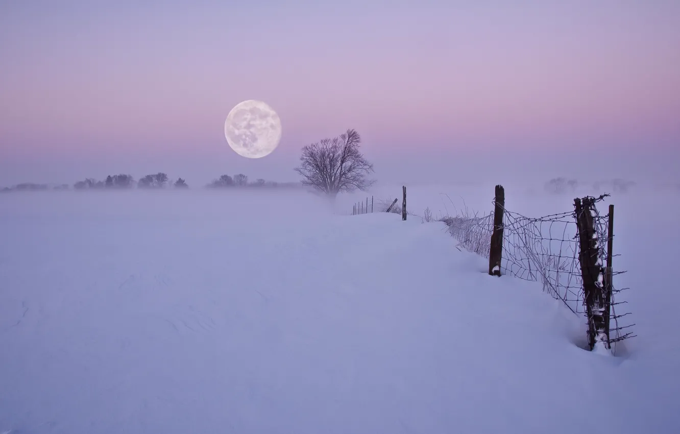 Фото обои зима, снег, ночь, туман, луна, забор
