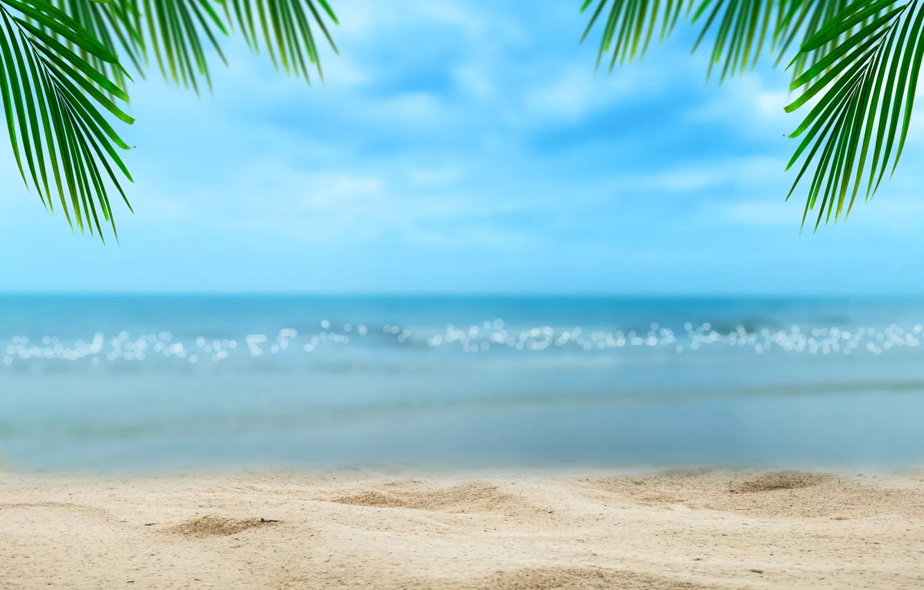 Фото обои песок, море, пляж, лето, небо, солнце, пальмы, берег