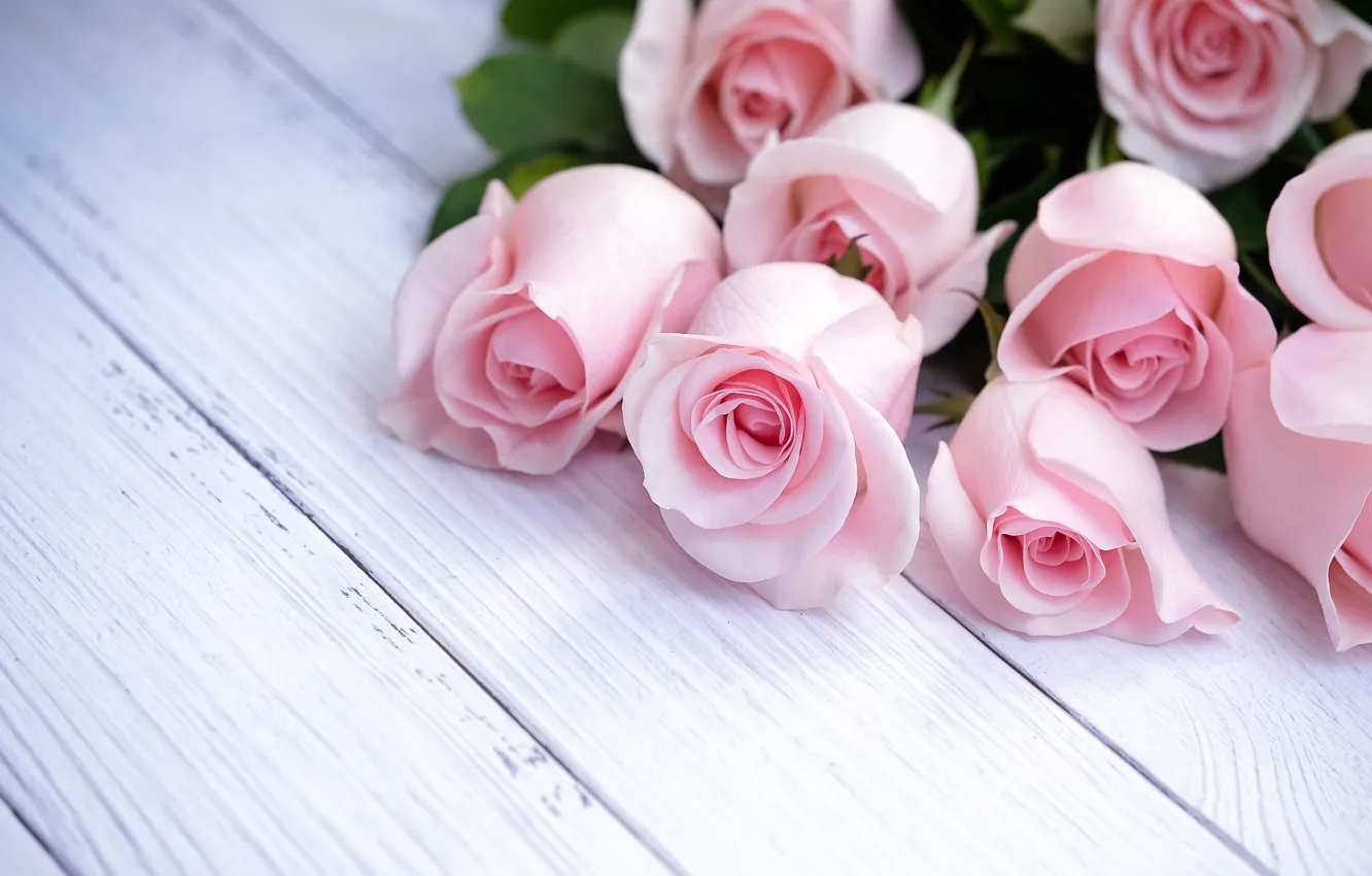 Фото обои розы, букет, розовые, pink, roses
