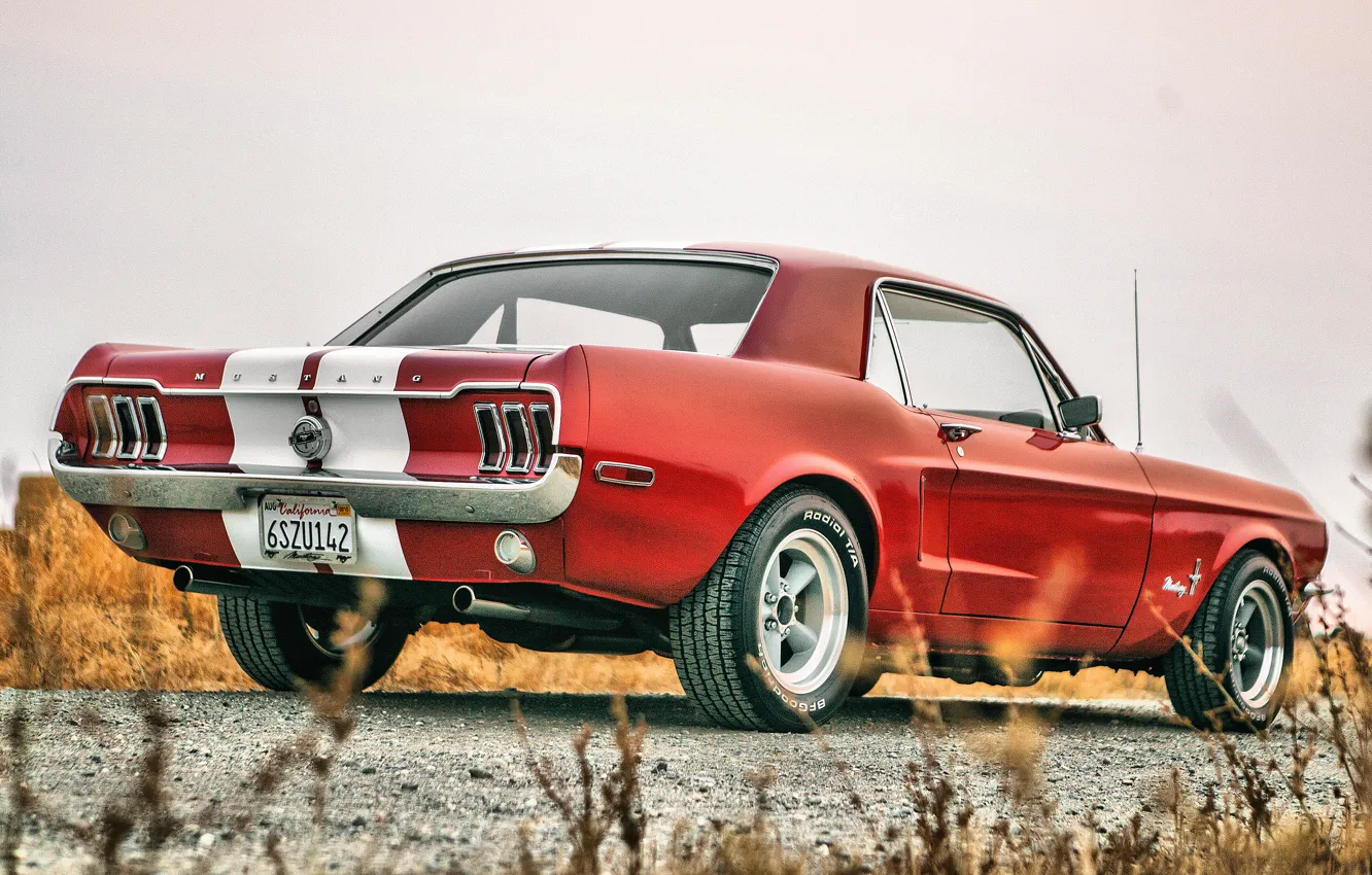 Фото обои Mustang, Ford, Ford Mustang, 1967, Форд Мустанг, Muscle Car