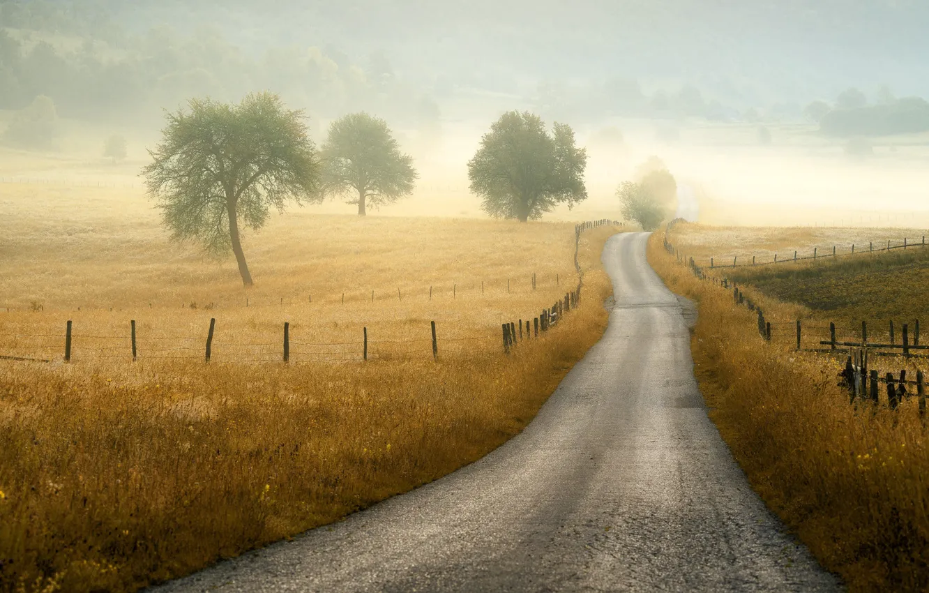 Фото обои дорога, трава, деревья, природа, туман, Adnan Bubalo