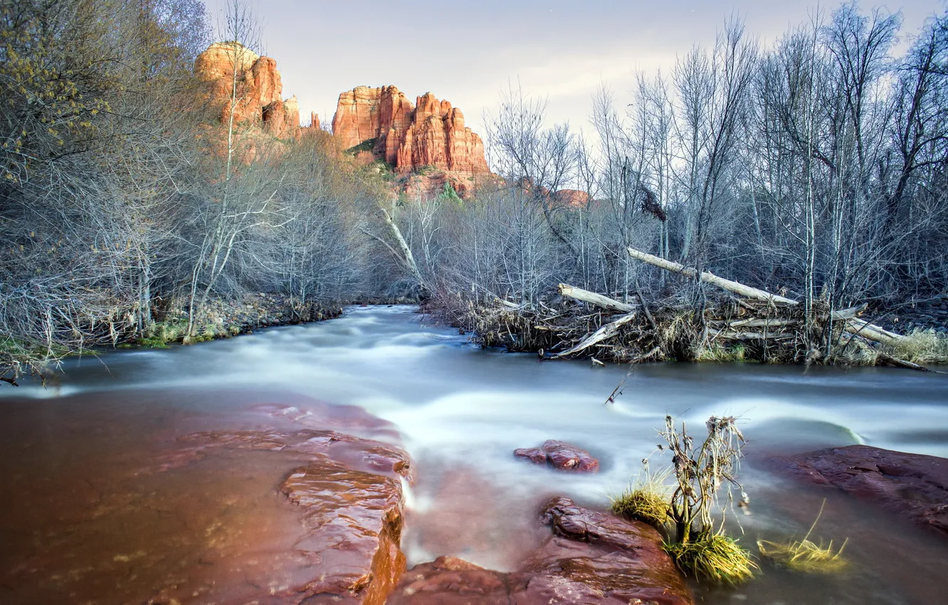 Фото обои rock, trees, water, Sunset in Sedona