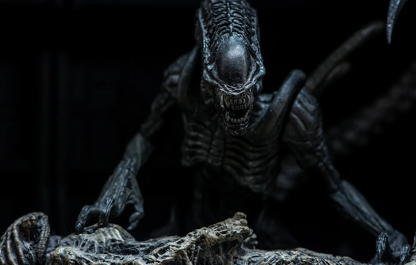 Фото обои игрушка, Чужой, статуэтка, alien, тварь