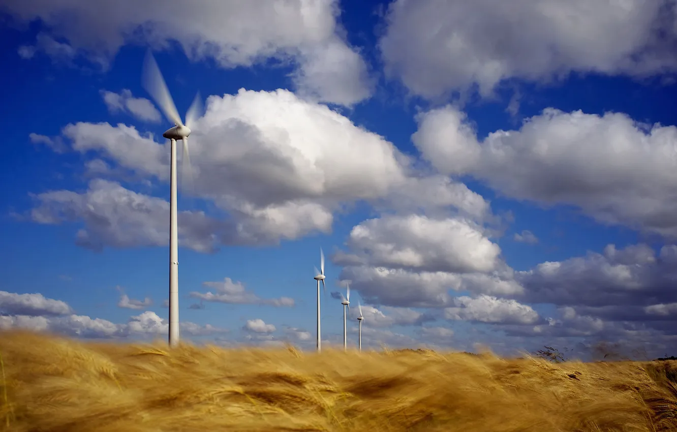 Фото обои поле, облаков, ветрогенератор, ветра, поле пшеницы