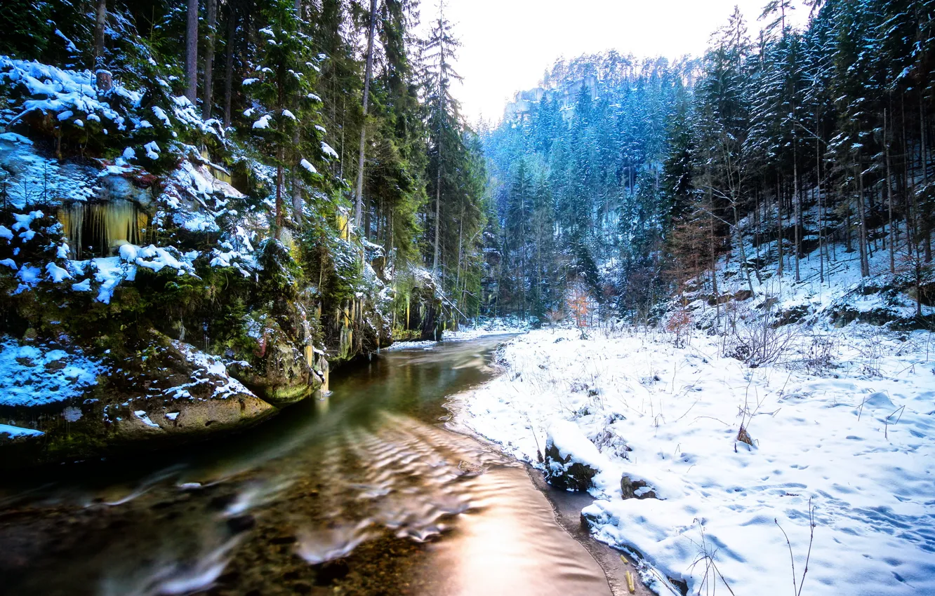 Фото обои зима, лес, пейзаж, природа, река