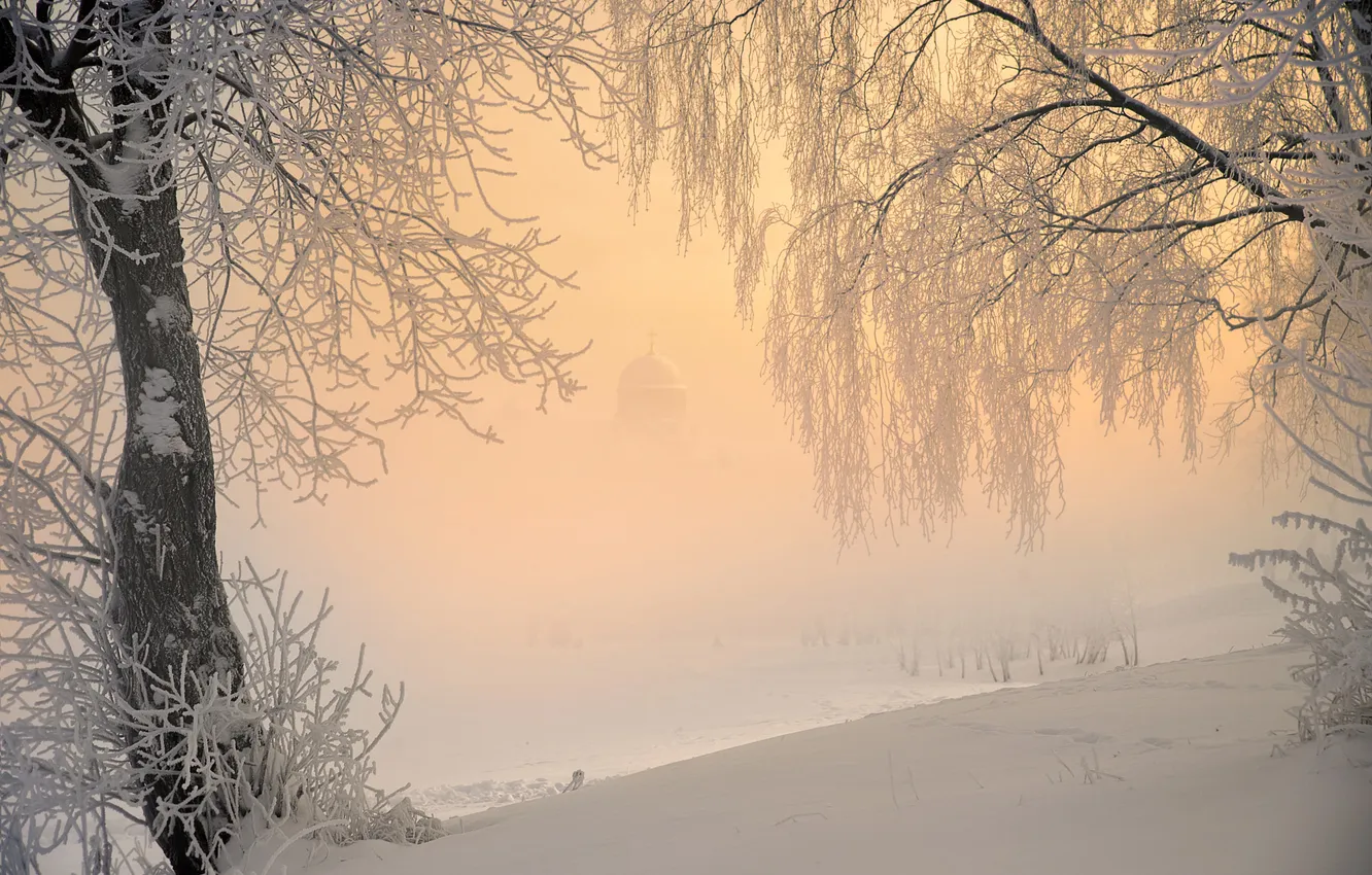 Фото обои зима, поле, небо, свет, снег, деревья, ветки, природа