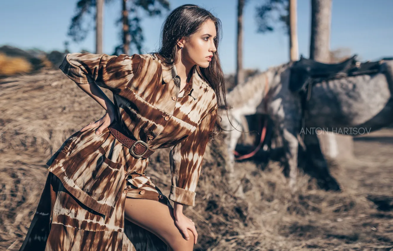 Фото обои взгляд, девушка, поза, стиль, конь, Антон Харисов, Мария Башмакова