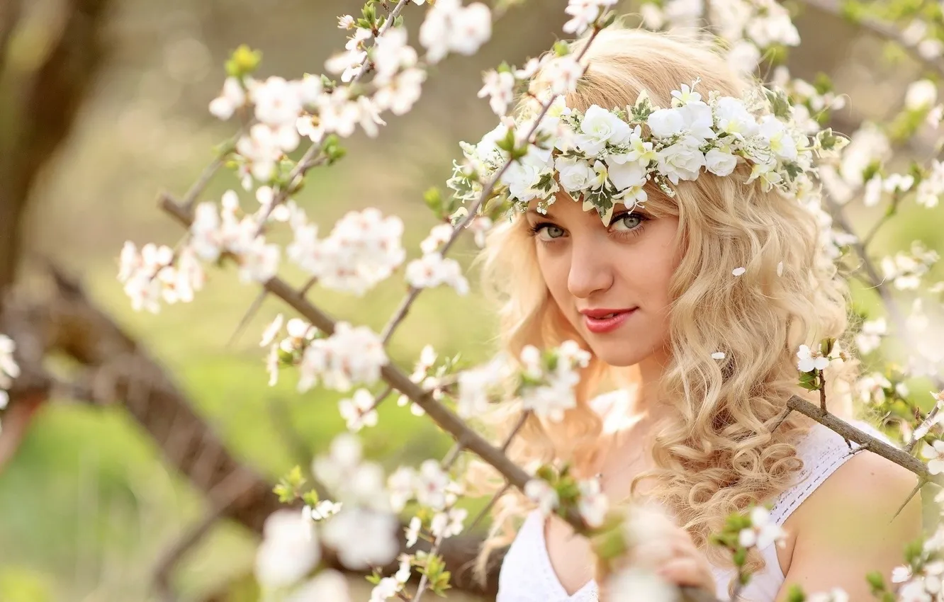 Фото обои взгляд, дерево, весна, блондинка, венок, белые цветы