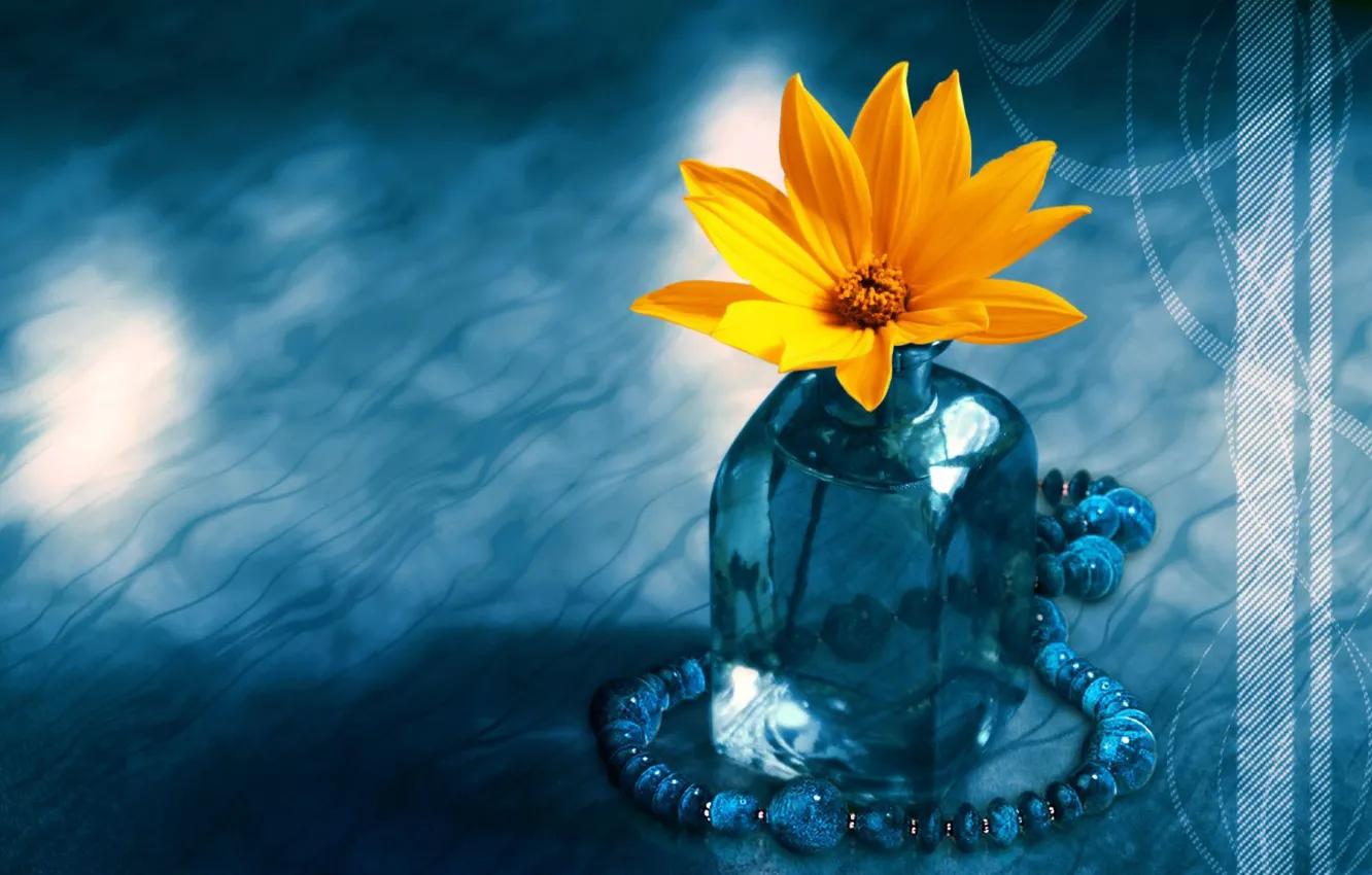 Фото обои цветок, голубой, бусы, ваза