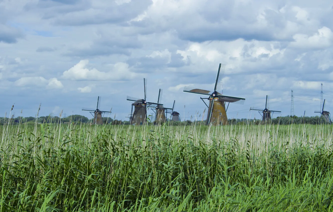 Фото обои небо, трава, тучи, природа, мельница, камыш, мельницы, голландия