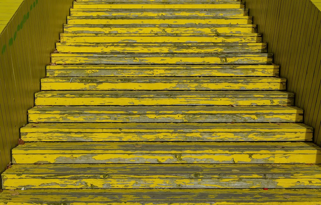 Фото обои цвет, лестница, ступени