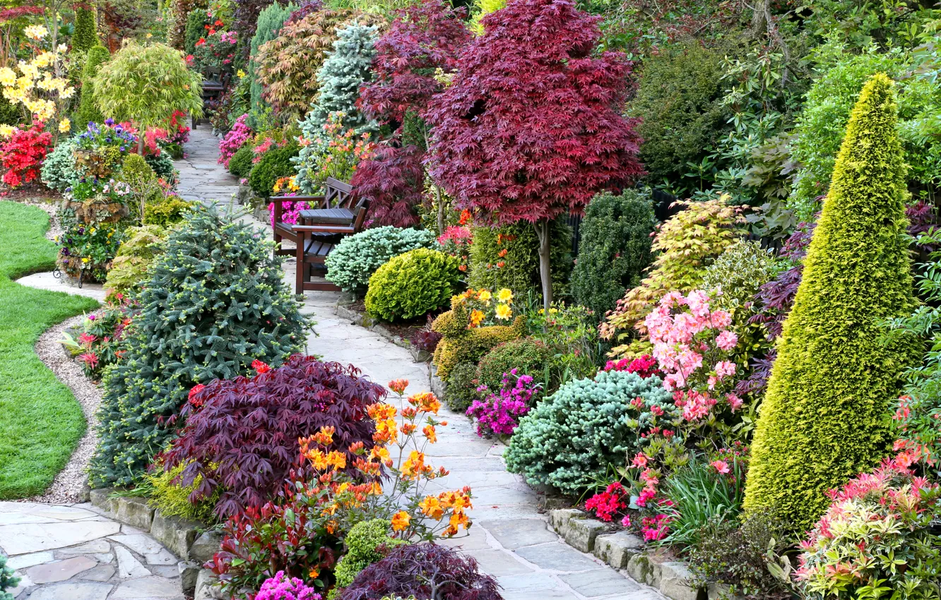Фото обои цветы, дизайн, газон, сад, дорожка, скамейки, кусты, лавочки