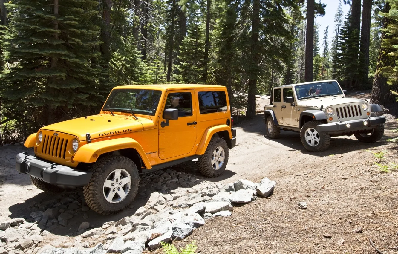 Фото обои лес, деревья, камни, внедорожник, Джип, Wrangler, Ренглер, Jeep