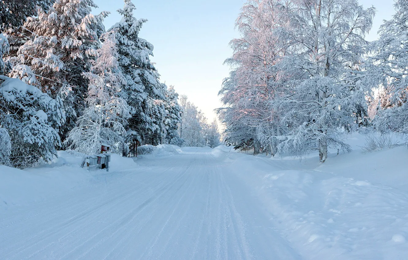 Winter schnee. Швеция природа зима. Дорога в зимнем лесу большое разрешение.