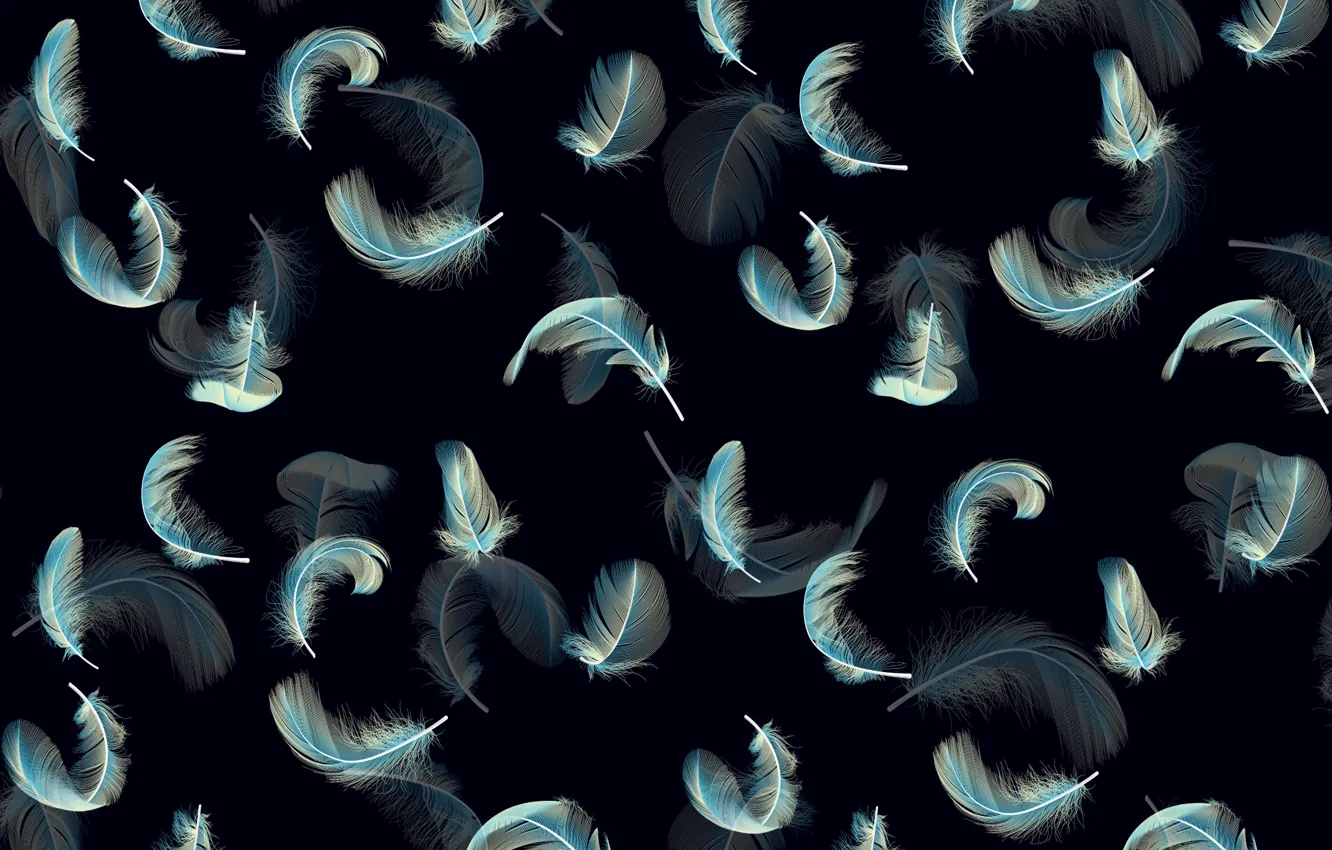 Фото обои blue, pattern, feathers