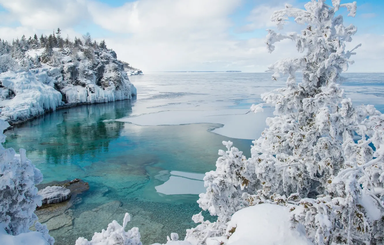 Фото обои зима, снег, дерево, лёд, Канада, залив, Онтарио, Canada