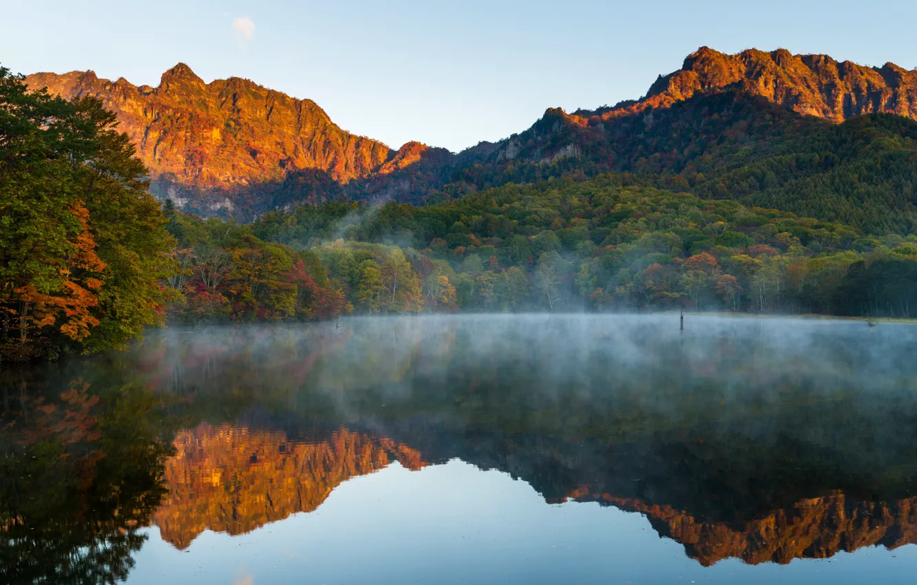 Фото обои осень, лес, вода, деревья, горы, туман, озеро, отражение
