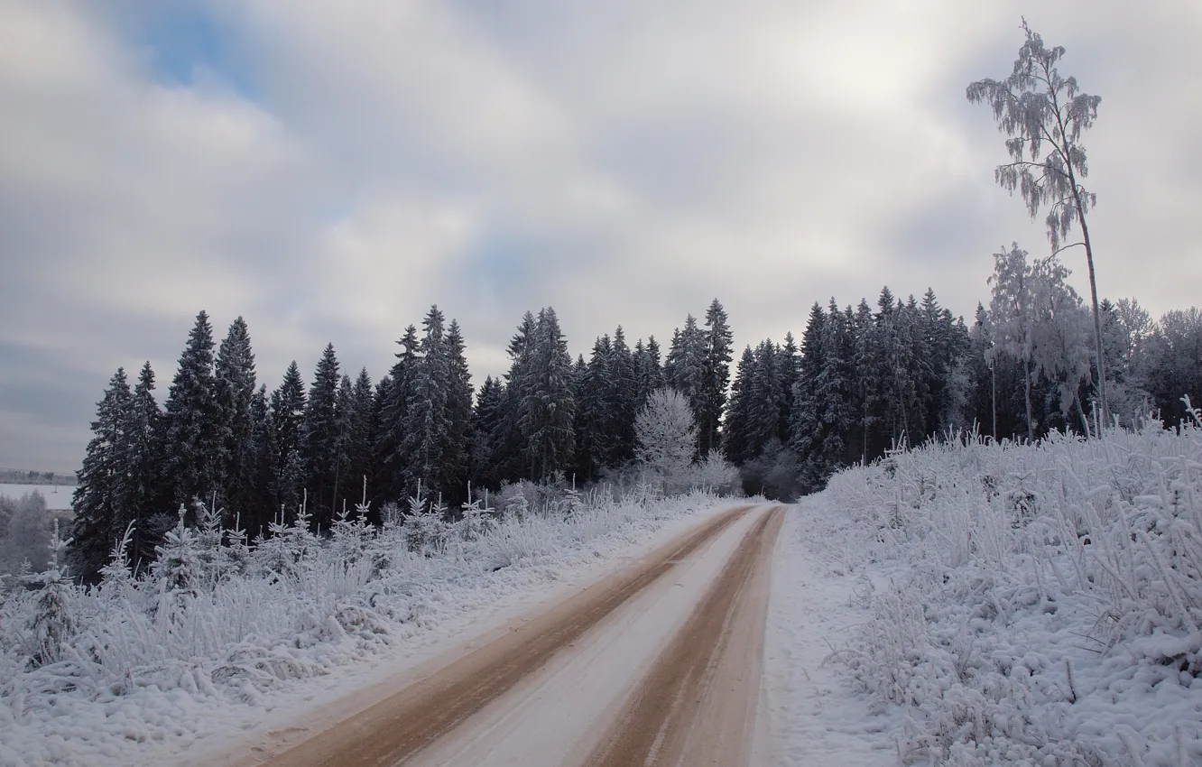 Фото обои зима, дорога, небо, снег, деревья