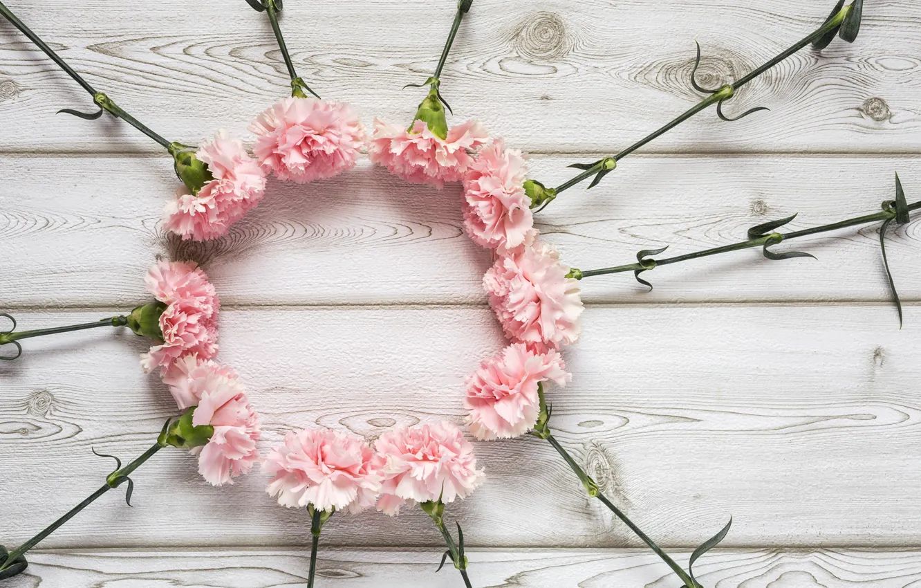 Фото обои цветы, розовые, wood, pink, flowers, гвоздики