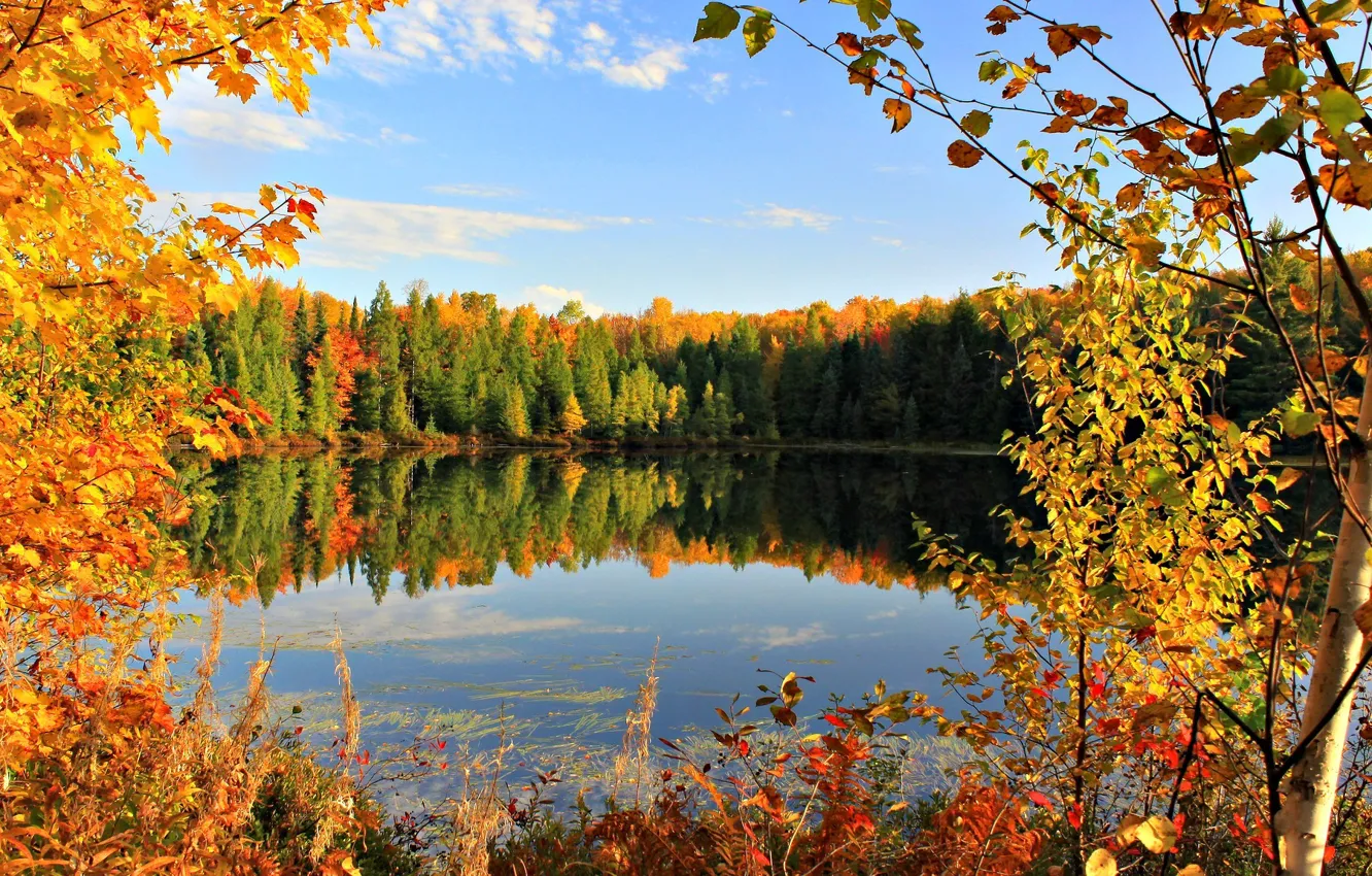 Фото обои осень, небо, листья, облака, деревья, озеро, пруд, Autumn