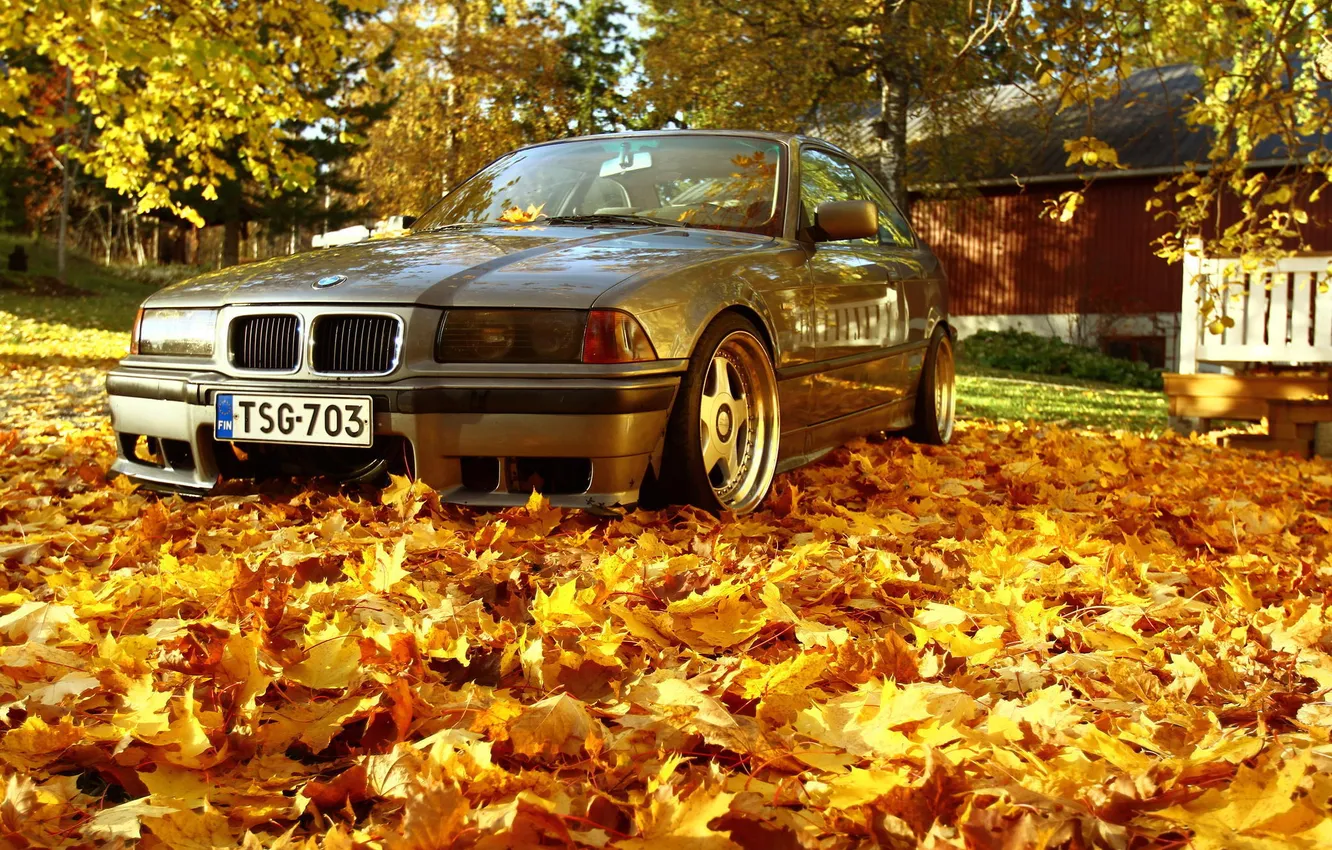 Фото обои bmw, autumn, leaves, orange, stance, maple