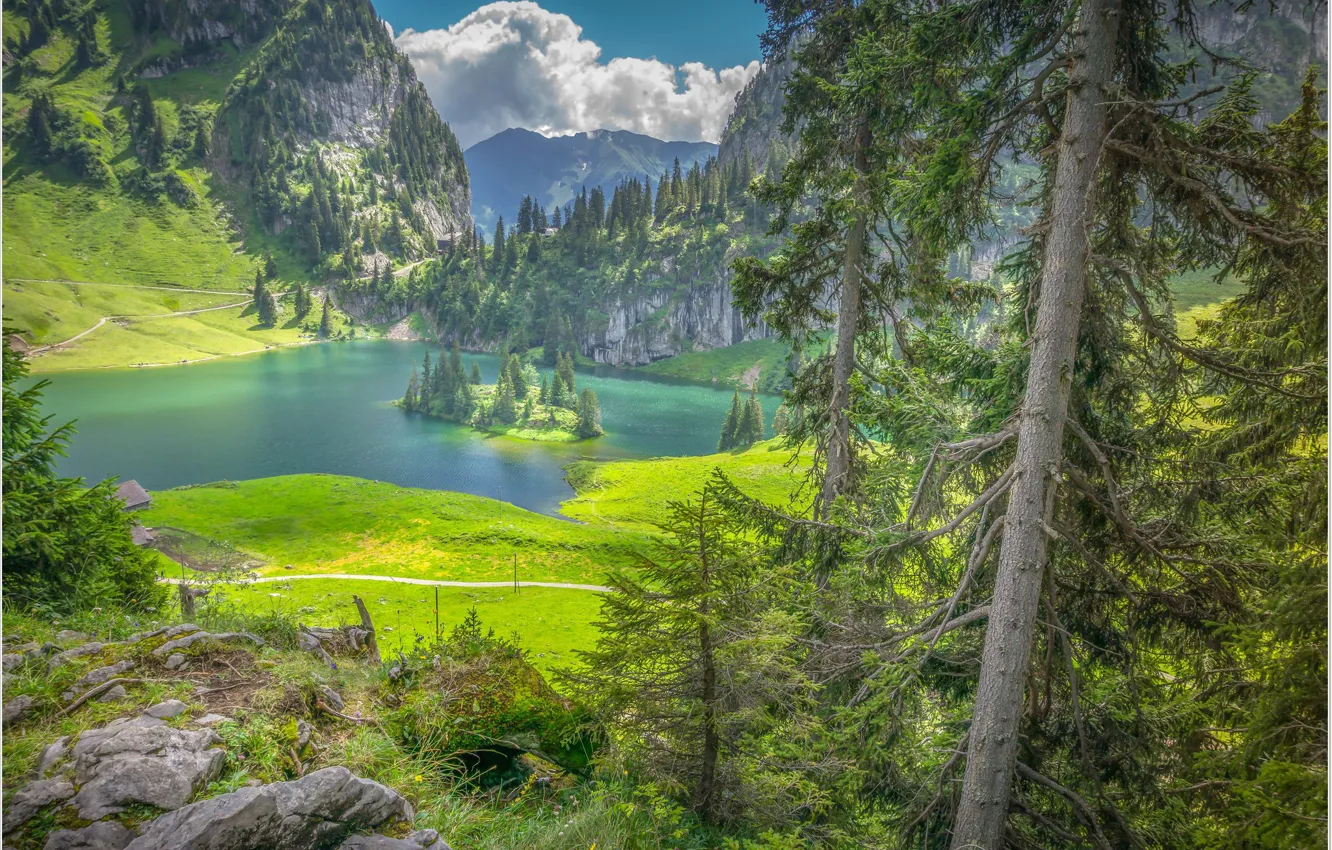 Фото обои озеро, остров, Швейцария, Хинтерштоккен