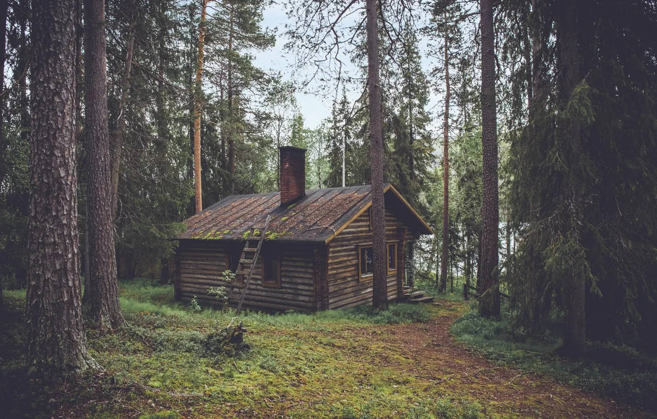 Фото обои house, forest, trees, nature, woods, chalet, hut