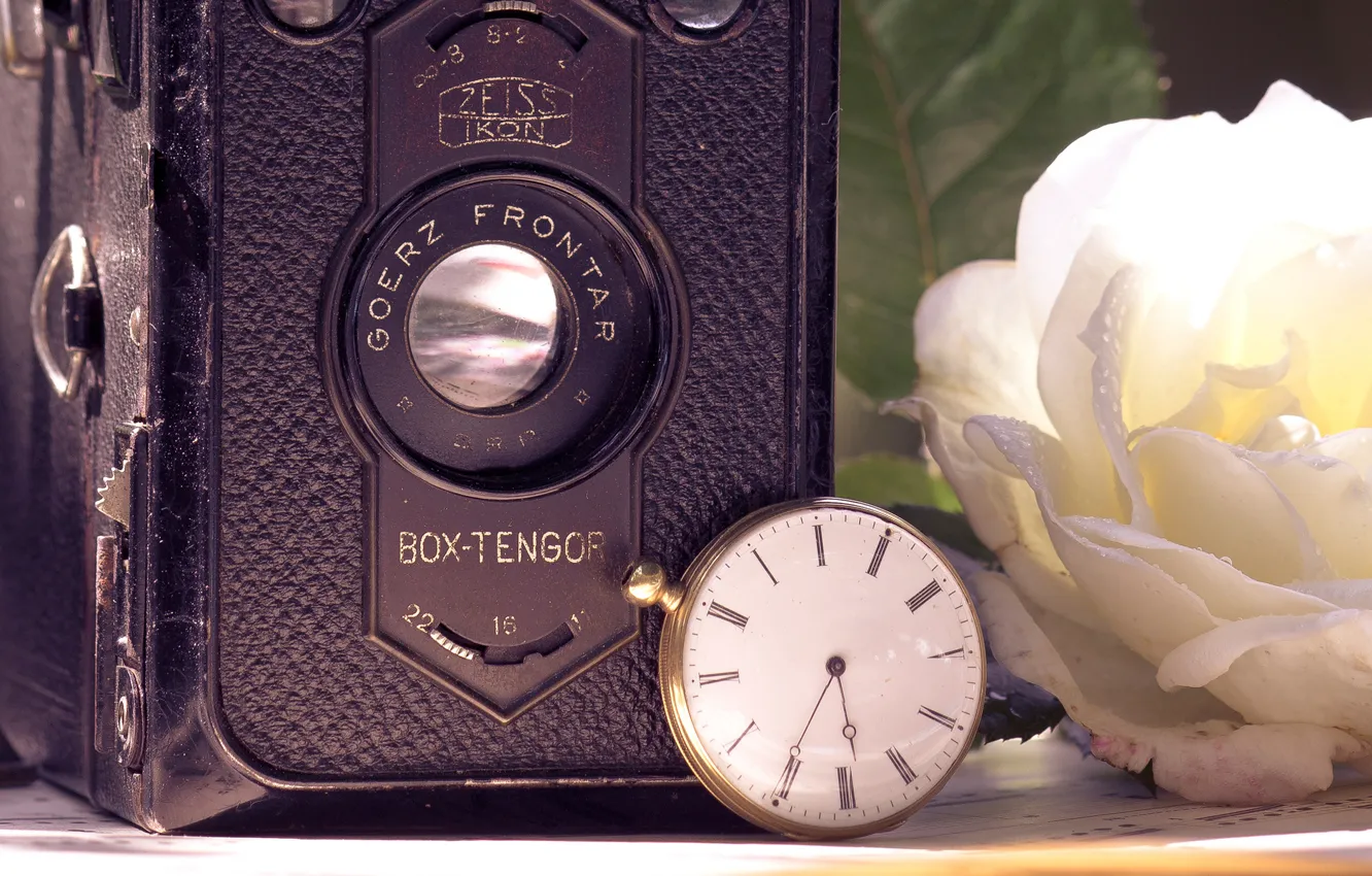 Фото обои цветок, солнце, ретро, часы, роза, камера, фотоаппарат, белая