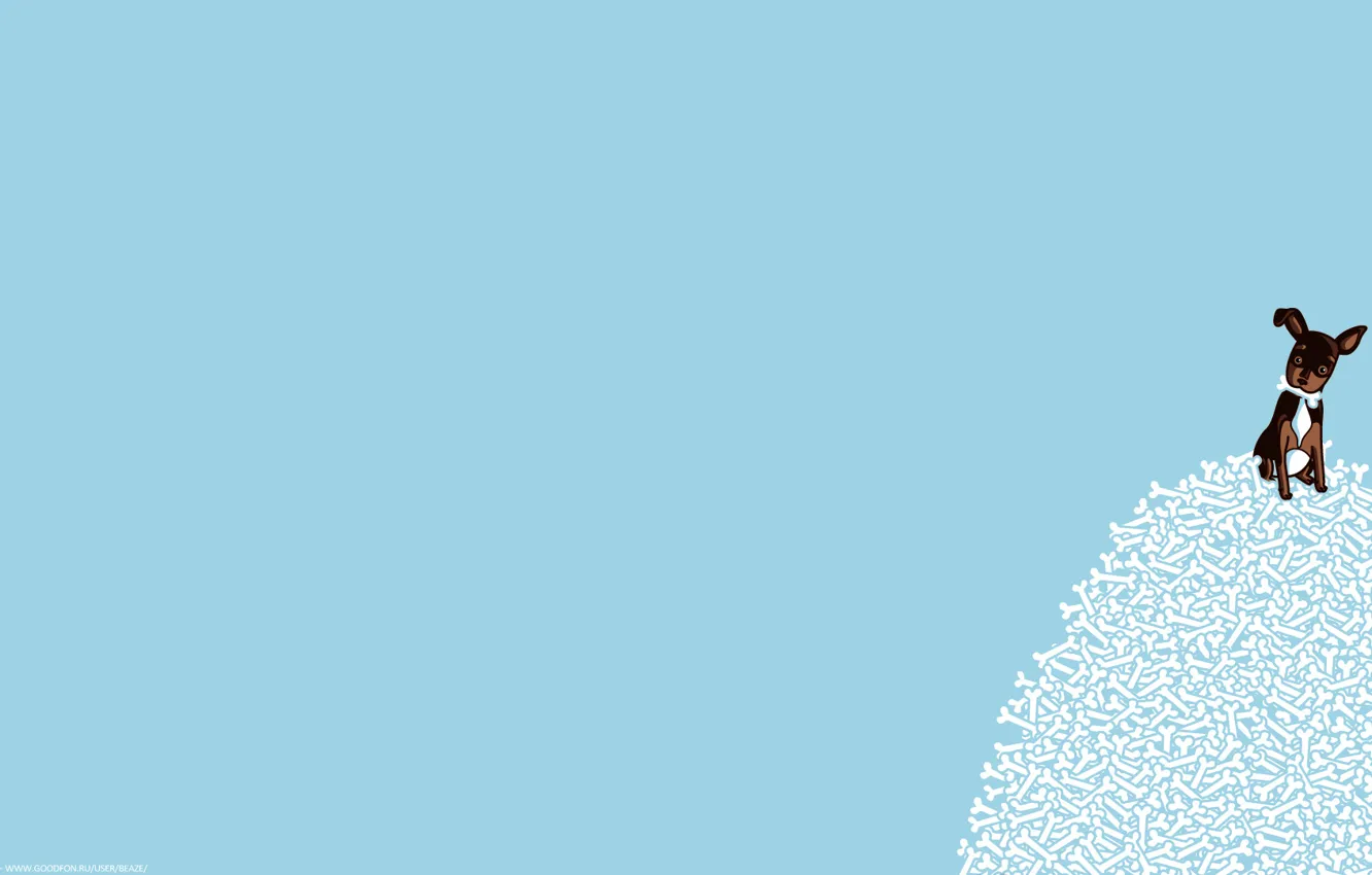 Фото обои собака, косточки, кости, щенок, пёс