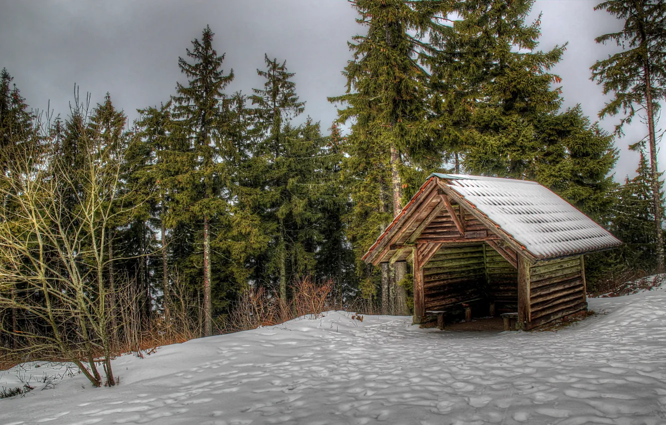 Фото обои зима, лес, снег, деревья, Германия, домик, Оппенау