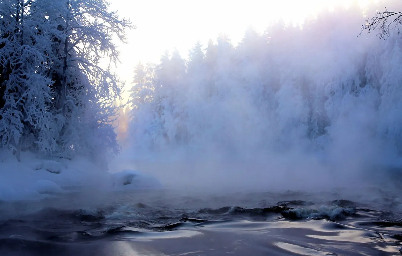Фото обои иней, лес, снег, деревья, туман, река, Зима, дымка