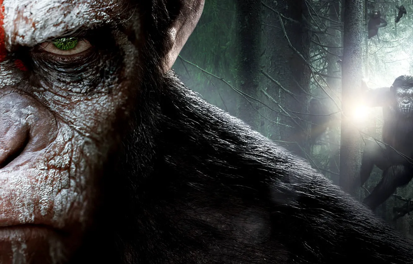 Фото обои cinema, monkey, forest, movie, animal, revolution, film, chimpanzee
