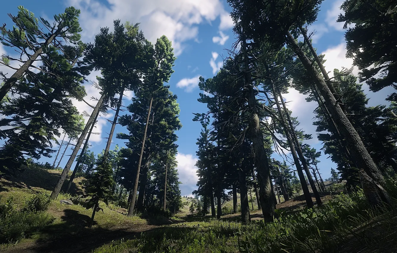 Фото обои HDR, Clouds, Sky, Wood, Game, Trees, UHD, Red Dead Redemption 2