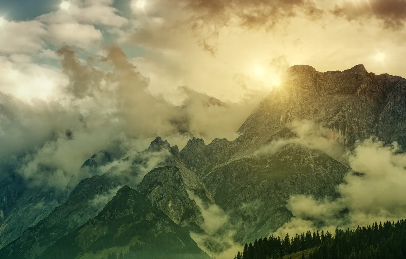 Фото обои лес, небо, солнце, облака, свет, горы, туман, скалы