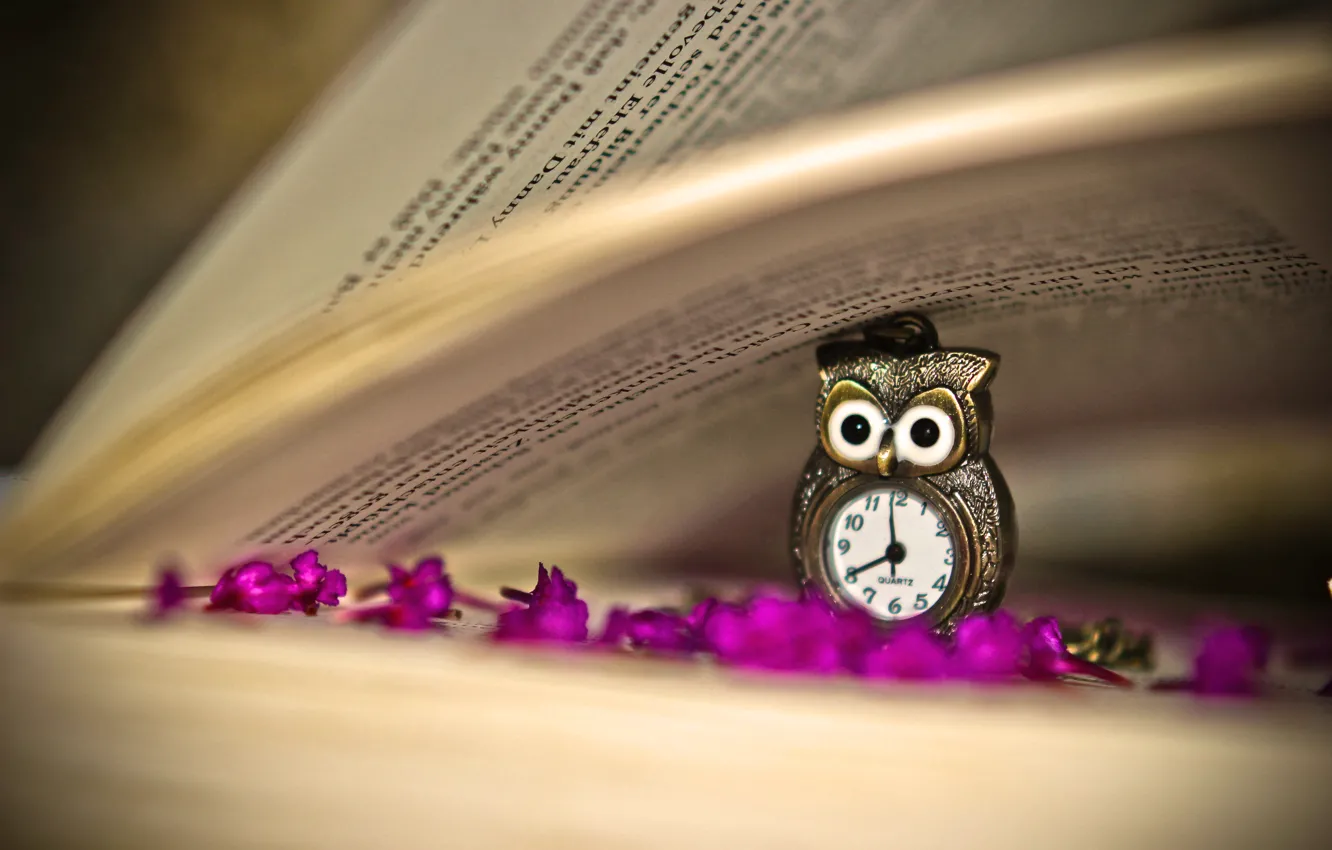 Фото обои цветы, сова, часы, кулон, книга, страницы, сиреневые