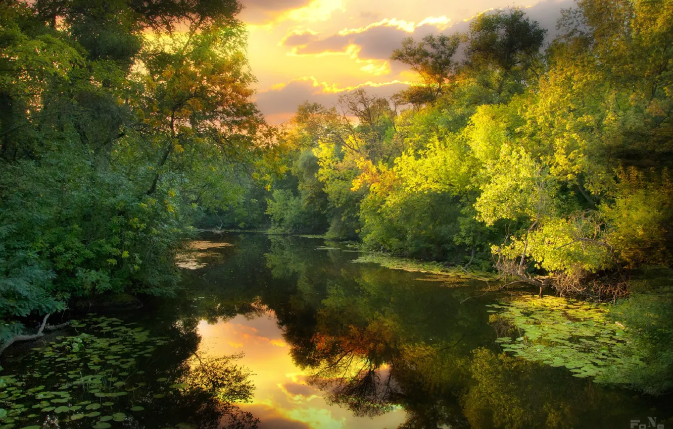 Фото обои солнце, деревья, отражение, река, вечер