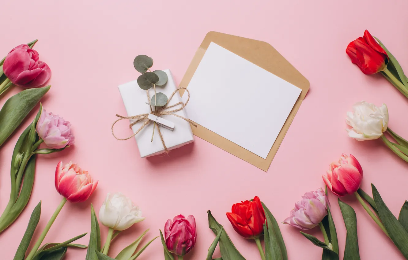 Фото обои письмо, цветы, праздник, подарок, тюльпаны