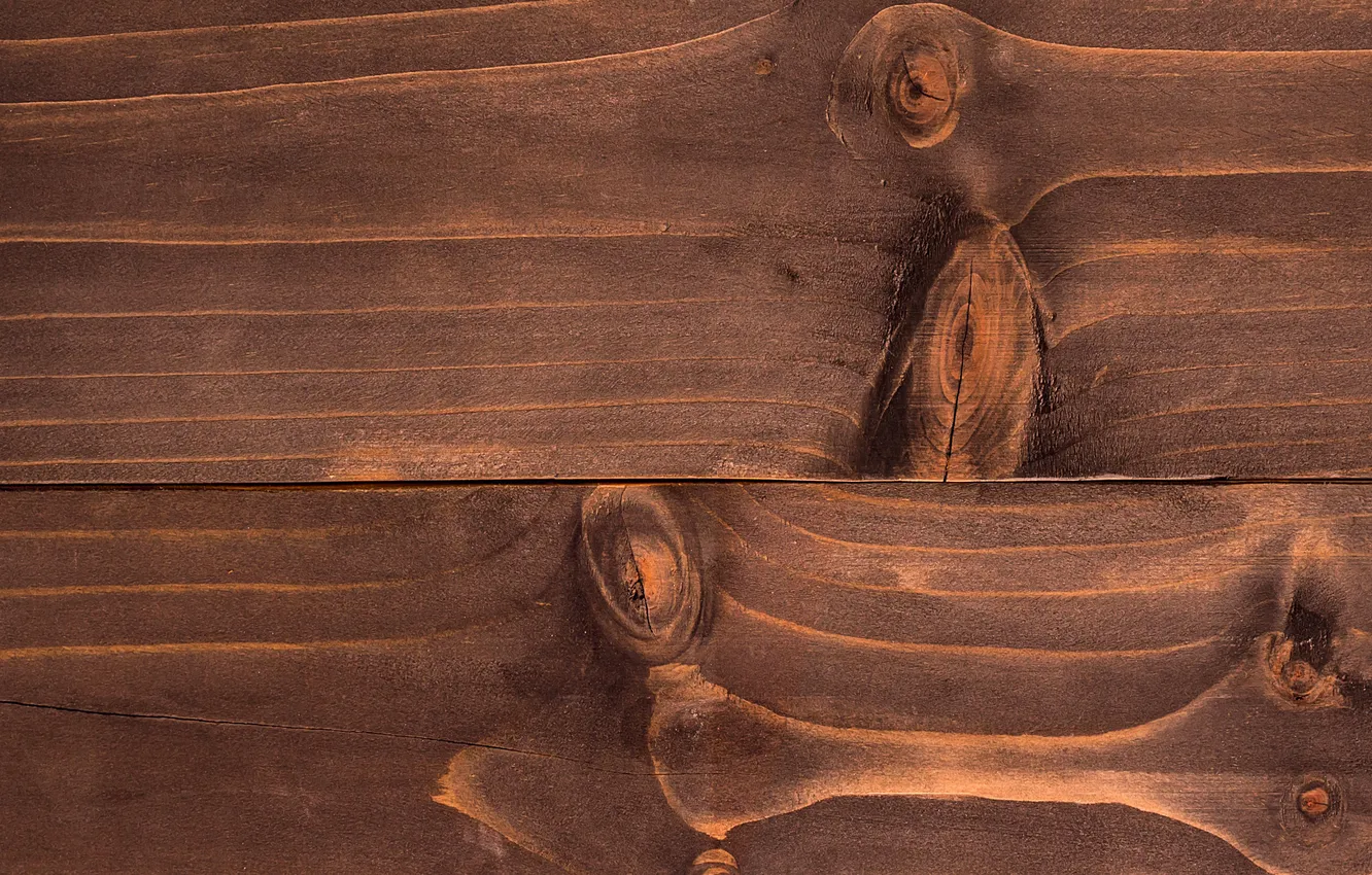 Фото обои цвет, текстура, wood